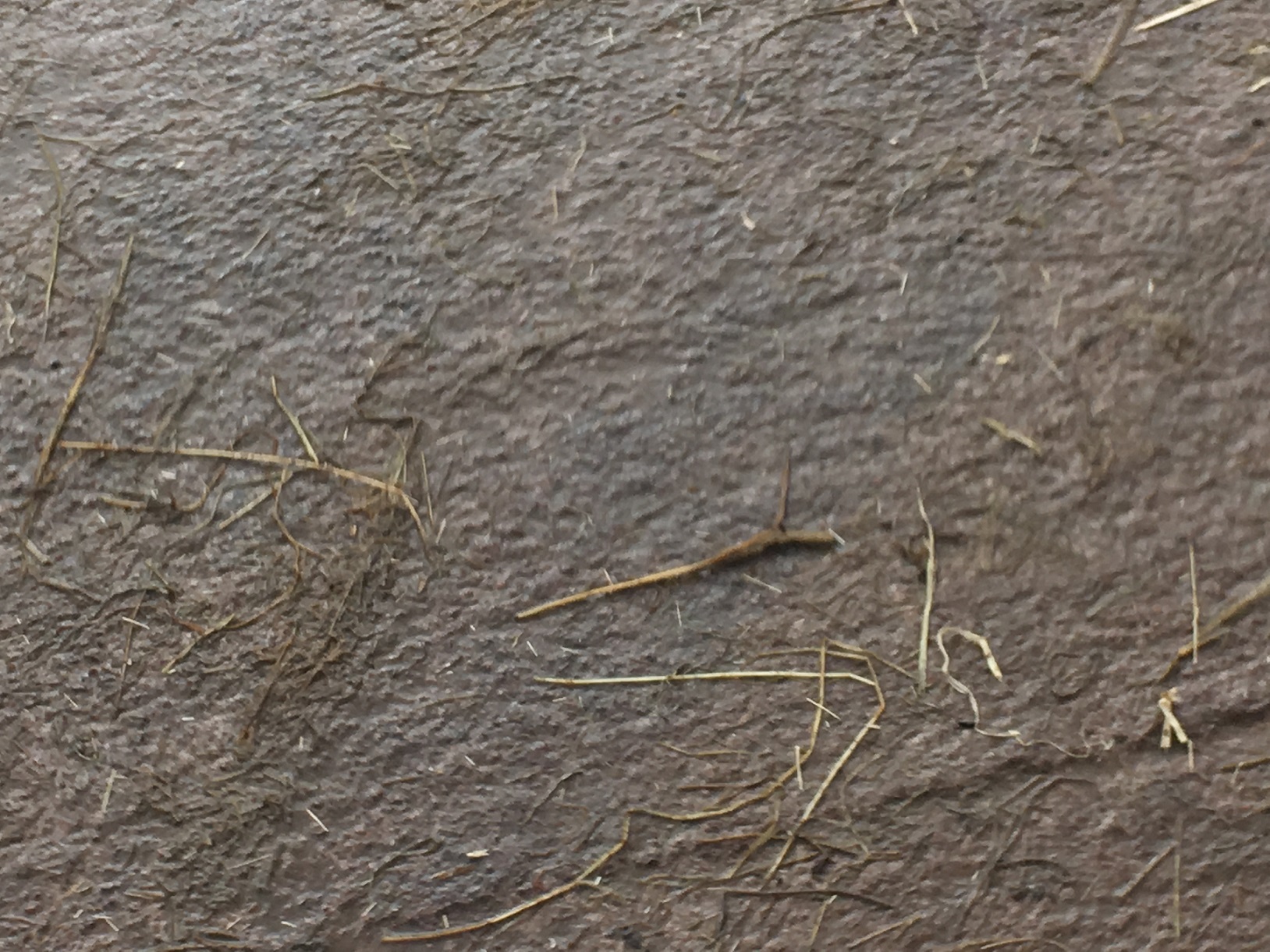 A roughened concrete surface with scattered straw. 